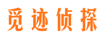 横峰觅迹私家侦探公司